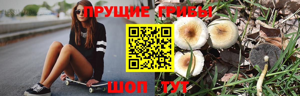Галлюциногенные грибы GOLDEN TEACHER  Вход с VPN  Воткинск 